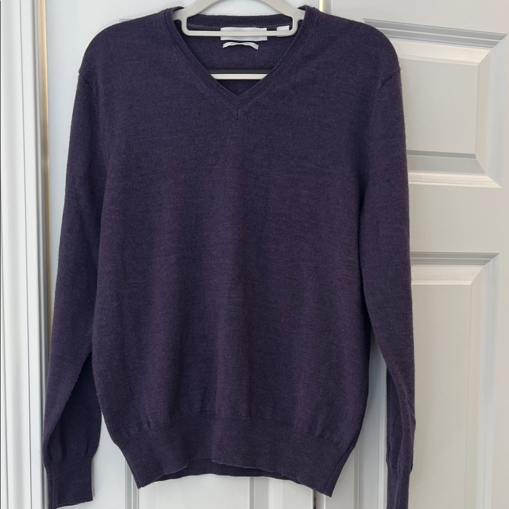 Calvin Klein Men's Deep Purple V-Neck Sweater
